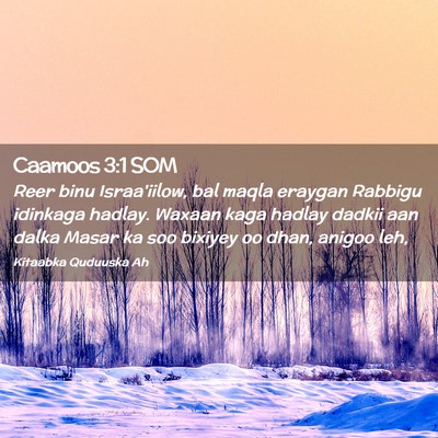 Picture 02 - Caamoos 3:1 SOM - Reer binu Israa'iilow, bal maqla eraygan Rabbigu - Bible Verse Picture