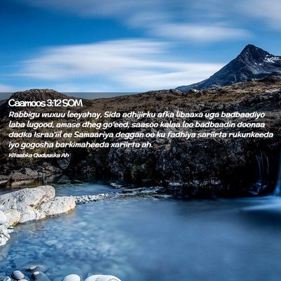 Picture 02 - Caamoos 3:12 SOM - Rabbigu wuxuu leeyahay, Sida adhijirku afka - Bible Verse Picture