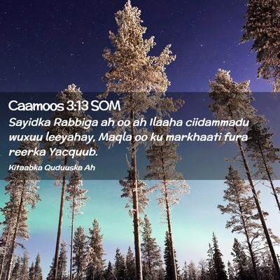 Picture 02 - Caamoos 3:13 SOM - Sayidka Rabbiga ah oo ah Ilaaha ciidammadu wuxuu - Bible Verse Picture