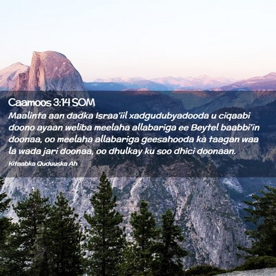 Picture 02 - Caamoos 3:14 SOM - Maalinta aan dadka Israa'iil xadgudubyadooda u - Bible Verse Picture