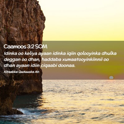 Picture 02 - Caamoos 3:2 SOM - Idinka oo keliya ayaan idinka iqiin qolooyinka - Bible Verse Picture