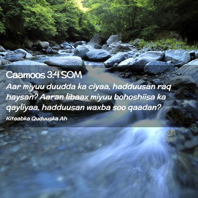 Picture 02 - Caamoos 3:4 SOM - Aar miyuu duudda ka ciyaa, hadduusan raq haysan? - Bible Verse Picture