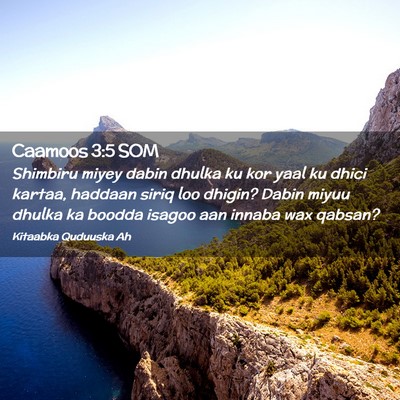 Picture 02 - Caamoos 3:5 SOM - Shimbiru miyey dabin dhulka ku kor yaal ku dhici - Bible Verse Picture