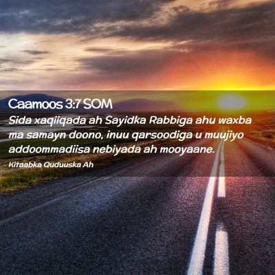 Picture 02 - Caamoos 3:7 SOM - Sida xaqiiqada ah Sayidka Rabbiga ahu waxba ma - Bible Verse Picture