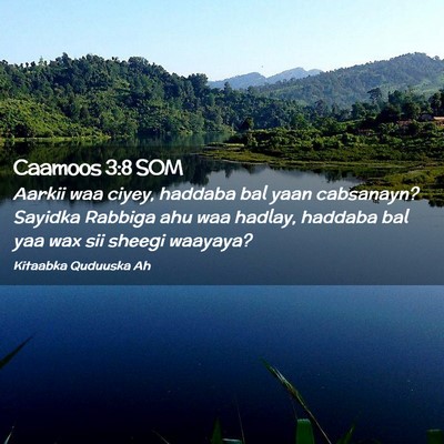 Picture 02 - Caamoos 3:8 SOM - Aarkii waa ciyey, haddaba bal yaan cabsanayn? - Bible Verse Picture
