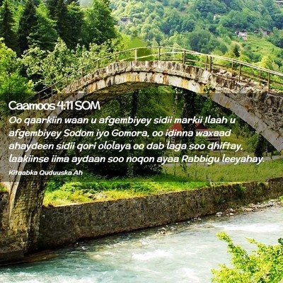 Picture 02 - Caamoos 4:11 SOM - Oo qaarkiin waan u afgembiyey sidii markii Ilaah - Bible Verse Picture