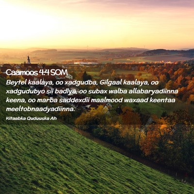 Picture 02 - Caamoos 4:4 SOM - Beytel kaalaya, oo xadgudba, Gilgaal kaalaya, oo - Bible Verse Picture