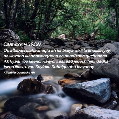 Picture 02 - Caamoos 4:5 SOM - Oo allabari mahadnaqid ah ka bixiya wixii la - Bible Verse Picture