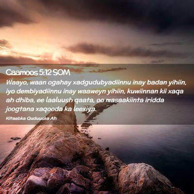 Picture 02 - Caamoos 5:12 SOM - Waayo, waan ogahay xadgudubyadiinnu inay badan - Bible Verse Picture
