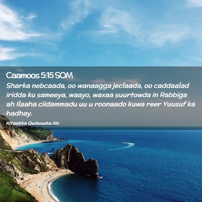 Picture 02 - Caamoos 5:15 SOM - Sharka nebcaada, oo wanaagga jeclaada, oo - Bible Verse Picture