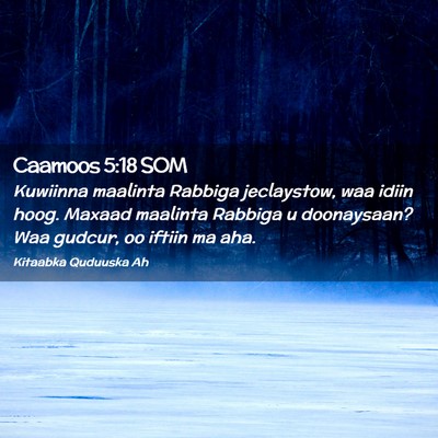 Picture 02 - Caamoos 5:18 SOM - Kuwiinna maalinta Rabbiga jeclaystow, waa idiin - Bible Verse Picture