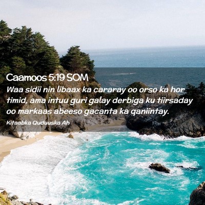 Picture 02 - Caamoos 5:19 SOM - Waa sidii nin libaax ka cararay oo orso ka hor - Bible Verse Picture
