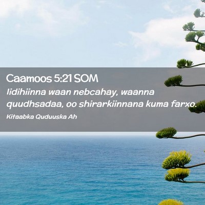 Picture 02 - Caamoos 5:21 SOM - Iidihiinna waan nebcahay, waanna quudhsadaa, oo - Bible Verse Picture