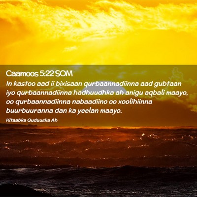 Picture 02 - Caamoos 5:22 SOM - In kastoo aad ii bixisaan qurbaannadiinna aad - Bible Verse Picture