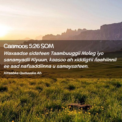 Picture 02 - Caamoos 5:26 SOM - Waxaadse sidateen Taambuuggii Moleg iyo - Bible Verse Picture