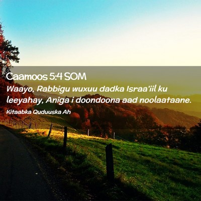 Picture 02 - Caamoos 5:4 SOM - Waayo, Rabbigu wuxuu dadka Israa'iil ku leeyahay, - Bible Verse Picture