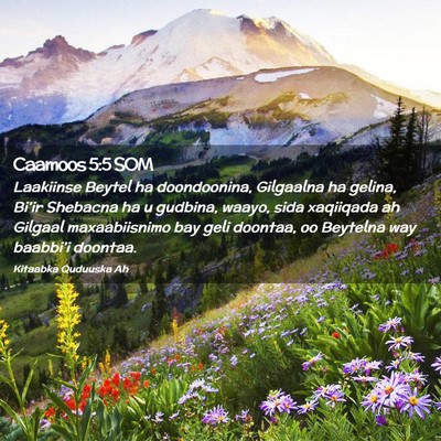 Picture 02 - Caamoos 5:5 SOM - Laakiinse Beytel ha doondoonina, Gilgaalna ha - Bible Verse Picture
