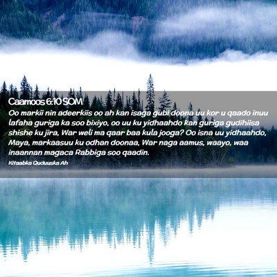Picture 02 - Caamoos 6:10 SOM - Oo markii nin adeerkiis oo ah kan isaga gubi - Bible Verse Picture