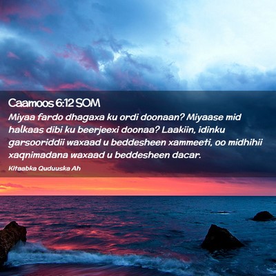 Picture 02 - Caamoos 6:12 SOM - Miyaa fardo dhagaxa ku ordi doonaan? Miyaase mid - Bible Verse Picture