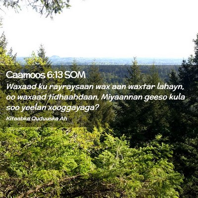 Picture 02 - Caamoos 6:13 SOM - Waxaad ku rayraysaan wax aan waxtar lahayn, oo - Bible Verse Picture