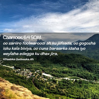Picture 02 - Caamoos 6:4 SOM - oo sariiro foolmaroodi ah ku jiifsada, oo gogosha - Bible Verse Picture