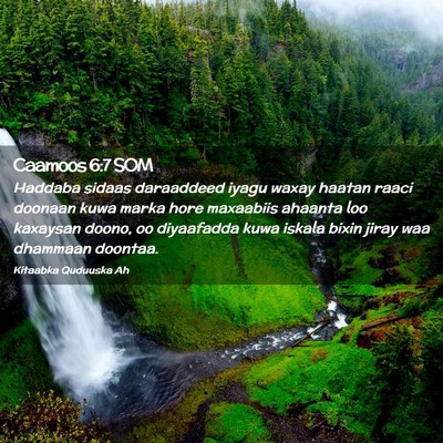 Picture 02 - Caamoos 6:7 SOM - Haddaba sidaas daraaddeed iyagu waxay haatan - Bible Verse Picture