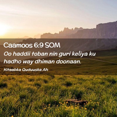 Picture 02 - Caamoos 6:9 SOM - Oo haddii toban nin guri keliya ku hadho way - Bible Verse Picture