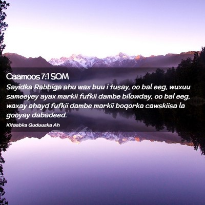 Picture 02 - Caamoos 7:1 SOM - Sayidka Rabbiga ahu wax buu i tusay, oo bal eeg, - Bible Verse Picture