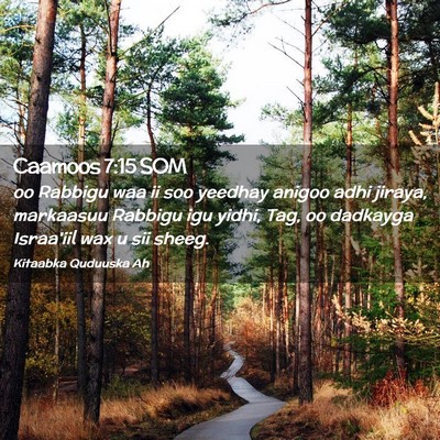 Picture 02 - Caamoos 7:15 SOM - oo Rabbigu waa ii soo yeedhay anigoo adhi jiraya, - Bible Verse Picture
