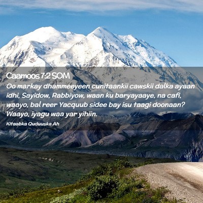 Picture 02 - Caamoos 7:2 SOM - Oo markay dhammeeyeen cunitaankii cawskii dalka - Bible Verse Picture