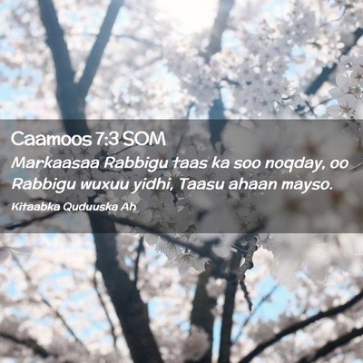 Picture 02 - Caamoos 7:3 SOM - Markaasaa Rabbigu taas ka soo noqday, oo Rabbigu - Bible Verse Picture