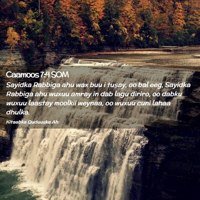Picture 02 - Caamoos 7:4 SOM - Sayidka Rabbiga ahu wax buu i tusay, oo bal eeg, - Bible Verse Picture