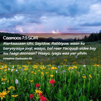 Picture 02 - Caamoos 7:5 SOM - Markaasaan idhi, Sayidow, Rabbiyow, waan ku - Bible Verse Picture