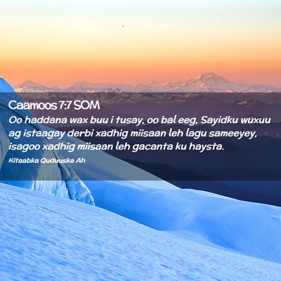 Picture 02 - Caamoos 7:7 SOM - Oo haddana wax buu i tusay, oo bal eeg, Sayidku - Bible Verse Picture