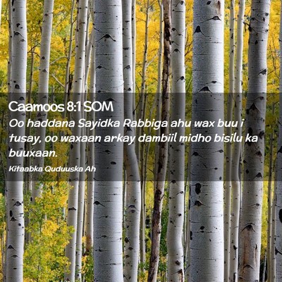 Picture 02 - Caamoos 8:1 SOM - Oo haddana Sayidka Rabbiga ahu wax buu i tusay, - Bible Verse Picture