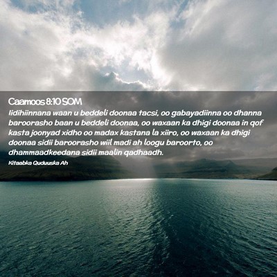 Picture 02 - Caamoos 8:10 SOM - Iidihiinnana waan u beddeli doonaa tacsi, oo - Bible Verse Picture