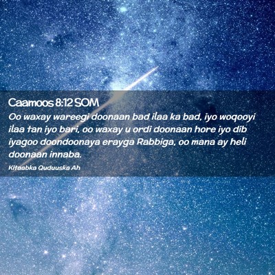 Picture 02 - Caamoos 8:12 SOM - Oo waxay wareegi doonaan bad ilaa ka bad, iyo - Bible Verse Picture