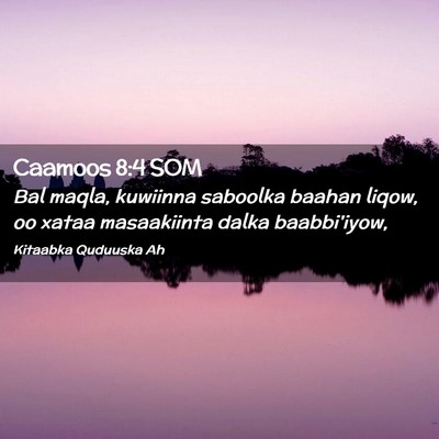 Picture 02 - Caamoos 8:4 SOM - Bal maqla, kuwiinna saboolka baahan liqow, oo - Bible Verse Picture