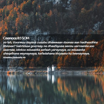 Picture 02 - Caamoos 8:5 SOM - oo leh, Goormuu dayaxa cusubu dhammaan doonaa aan - Bible Verse Picture