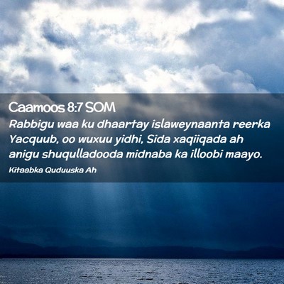 Picture 02 - Caamoos 8:7 SOM - Rabbigu waa ku dhaartay islaweynaanta reerka - Bible Verse Picture