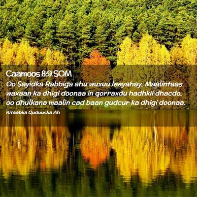 Picture 02 - Caamoos 8:9 SOM - Oo Sayidka Rabbiga ahu wuxuu leeyahay, Maalintaas - Bible Verse Picture