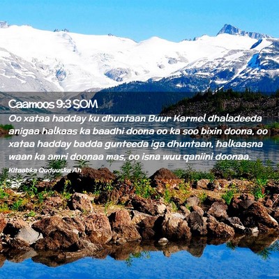 Picture 02 - Caamoos 9:3 SOM - Oo xataa hadday ku dhuntaan Buur Karmel - Bible Verse Picture