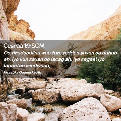 Picture 02 - Cesraa 1:9 SOM - Oo tiradoodiina waa tan, soddon saxan oo dahab - Bible Verse Picture