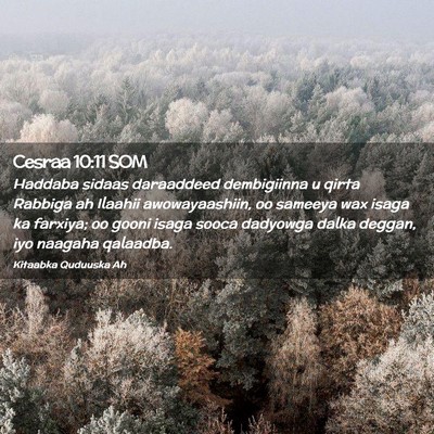 Picture 02 - Cesraa 10:11 SOM - Haddaba sidaas daraaddeed dembigiinna u qirta - Bible Verse Picture