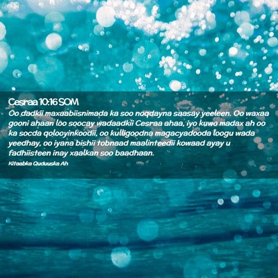 Picture 02 - Cesraa 10:16 SOM - Oo dadkii maxaabiisnimada ka soo noqdayna saasay - Bible Verse Picture