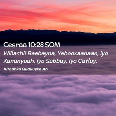 Picture 02 - Cesraa 10:28 SOM - Wiilashii Beebayna, Yehooxaanaan, iyo Xananyaah, - Bible Verse Picture