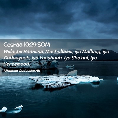 Picture 02 - Cesraa 10:29 SOM - Wiilashii Baaniina, Meshullaam, iyo Malluug, iyo - Bible Verse Picture