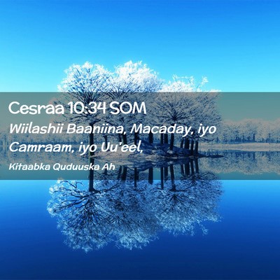 Picture 02 - Cesraa 10:34 SOM - Wiilashii Baaniina, Macaday, iyo Camraam, iyo - Bible Verse Picture