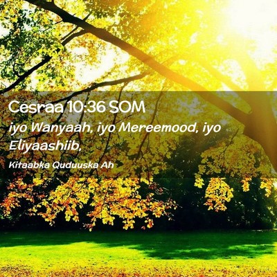 Picture 02 - Cesraa 10:36 SOM - iyo Wanyaah, iyo Mereemood, iyo - Bible Verse Picture