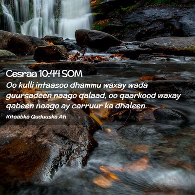 Picture 02 - Cesraa 10:44 SOM - Oo kulli intaasoo dhammu waxay wada guursadeen - Bible Verse Picture